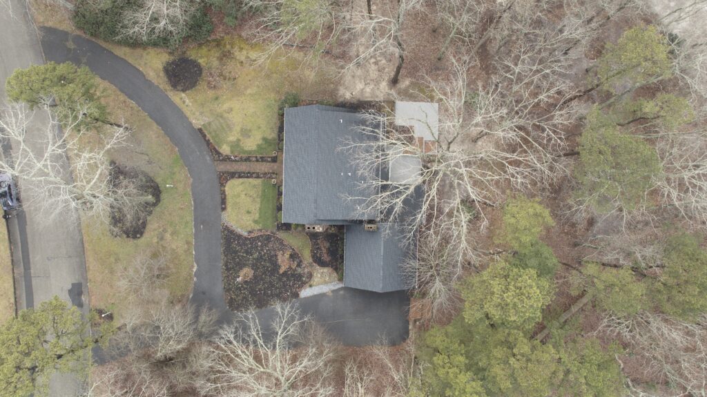 Backyard2