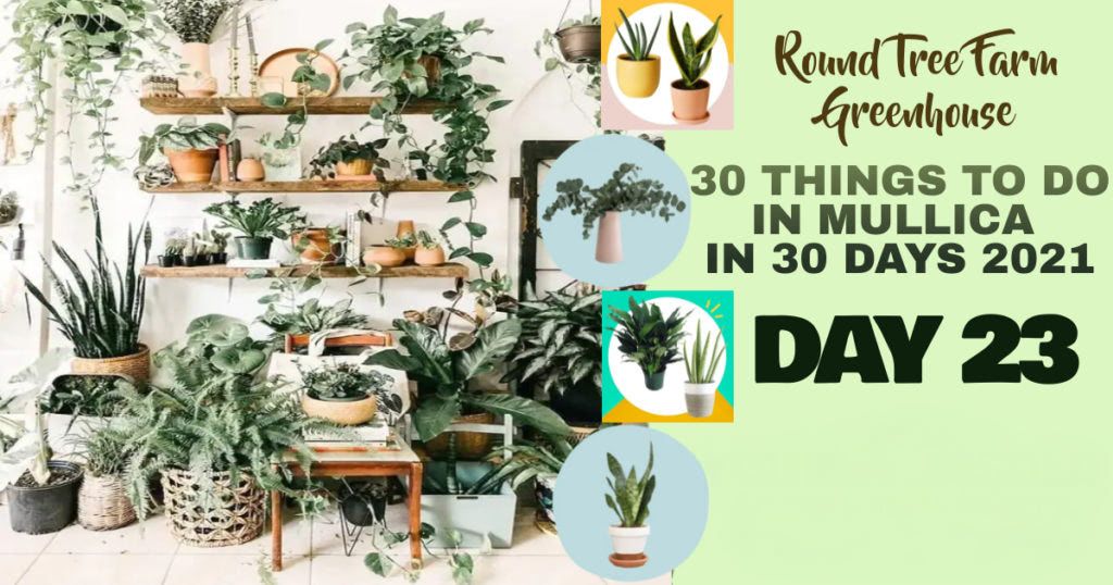 Day 23 Thumbnail 1024x538