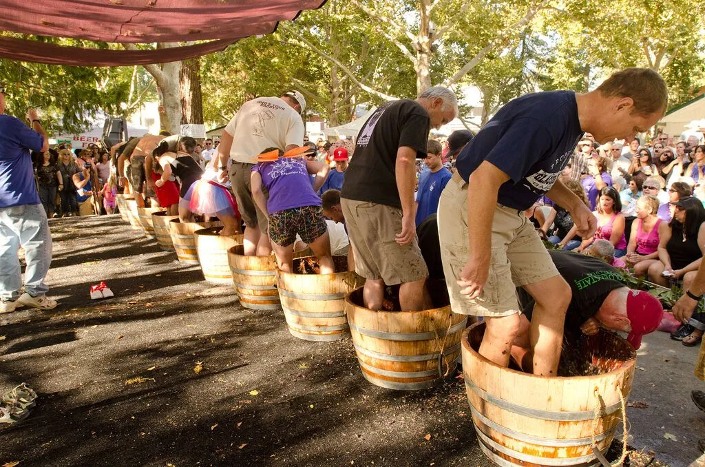 Laurita Winery Grape Stomp