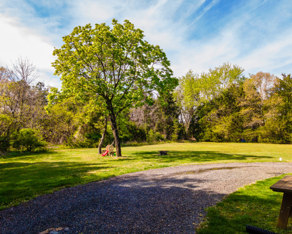 Nickyd Photography 20