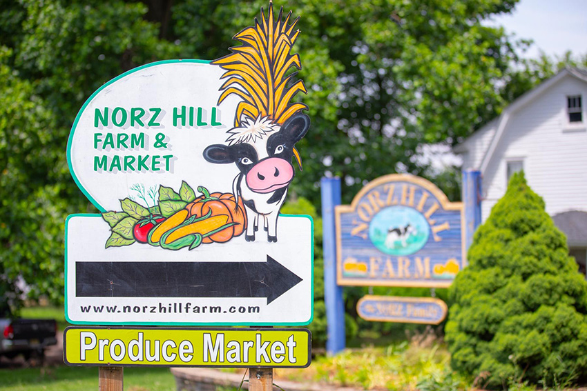 Norz Hill Farm Photo Gallery25