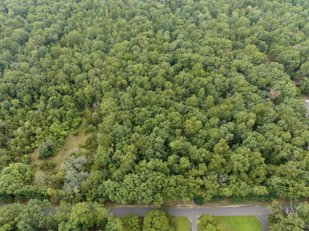 Dji Fly 20230724 110448 348 1690211314158 Photo