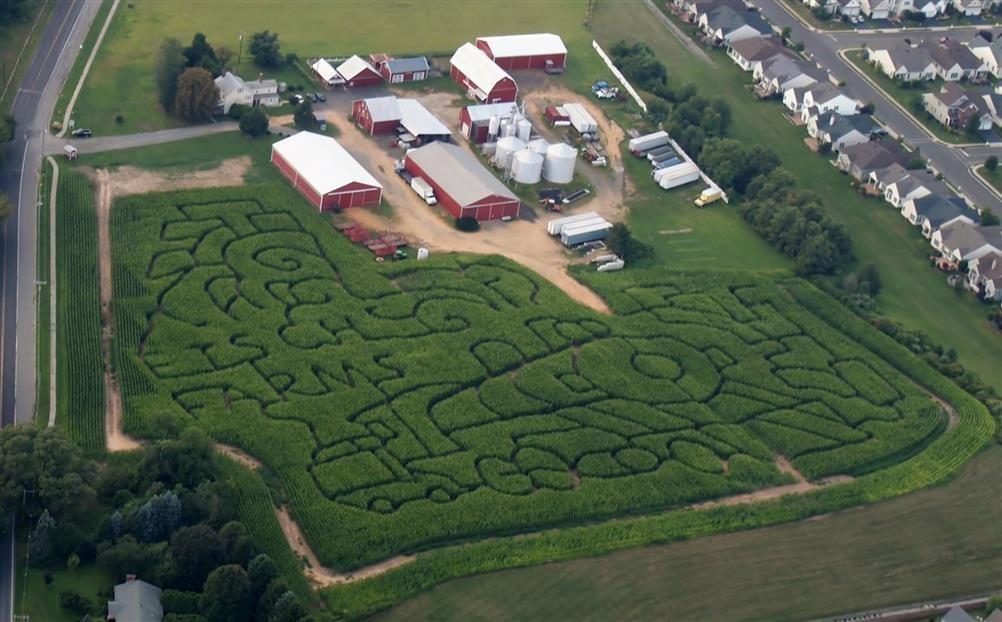 Etsch Farms Corn Maze Nj 35840