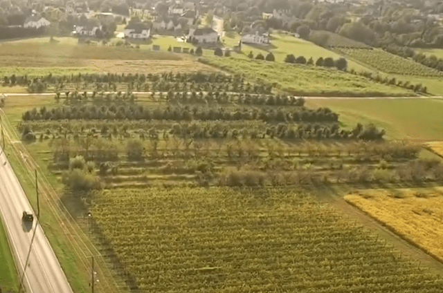 Find Harrison Township homes for sale with Nancy Kowalik